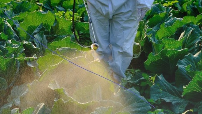 new Cómo elegir fungicidas para el huerto.jpg